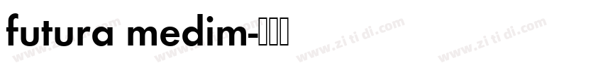 futura medim字体转换